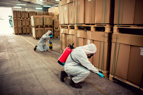 Reliable Harrisville, UT Pest Control Solutions