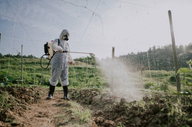 Best Mosquito Control Services  in Harrisville, UT