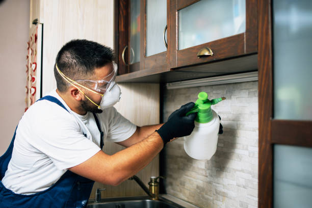 Best Wildlife Control Services  in Harrisville, UT