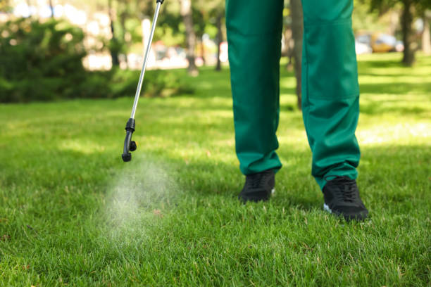 Best Pest Control for Restaurants  in Harrisville, UT