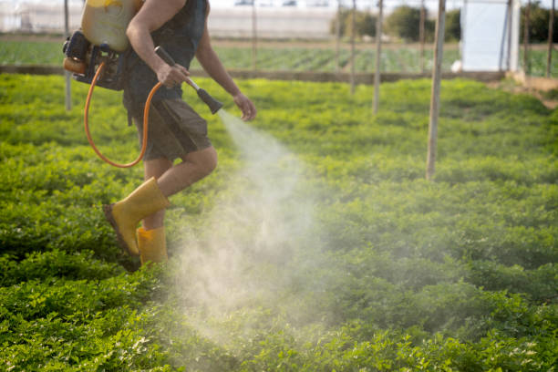 Best Pest Prevention Services  in Harrisville, UT