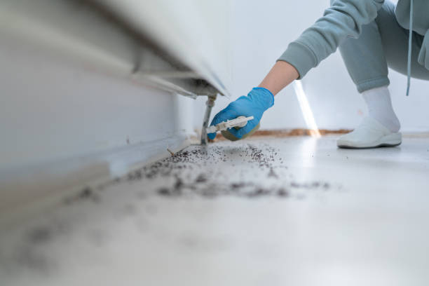 Best Pest Inspection Near Me  in Harrisville, UT