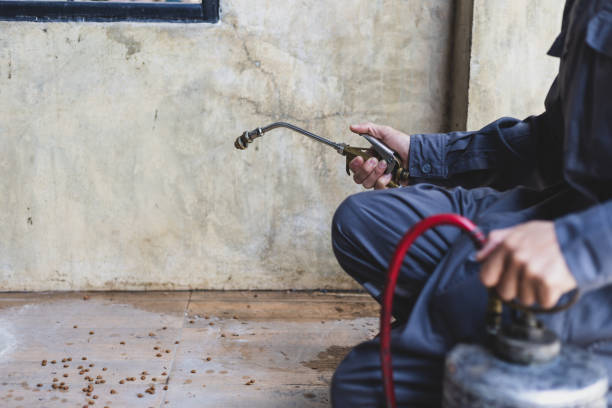 Best Pest Removal Services  in Harrisville, UT