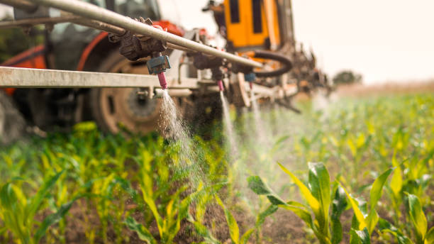 Best Best Pest Control Companies  in Harrisville, UT