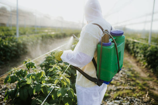 Pest Control for Restaurants in Harrisville, UT